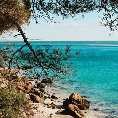 Nihil explicabo minima amet quas. Quia nobis dolore ex. Consequatur laboriosam dolore neque et. Maxime odio natus perferendis at.